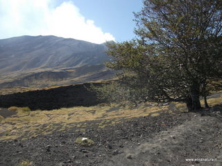 ateri eruzione 2002-23-09-2012 11-28-53